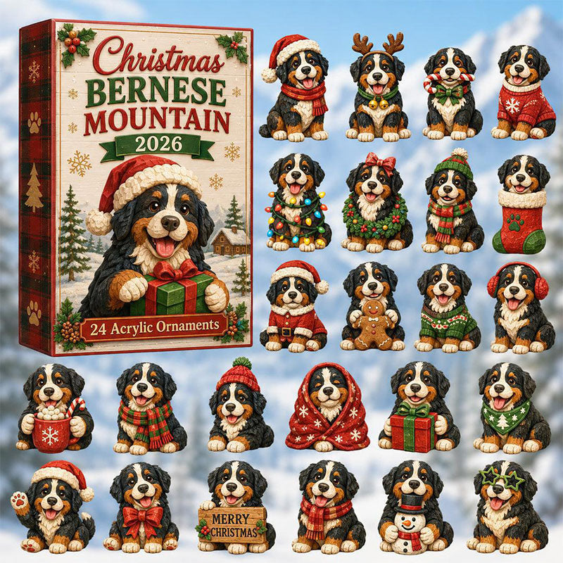 🎁24 Days Bernese Acrylic Ornament Advent Calendar